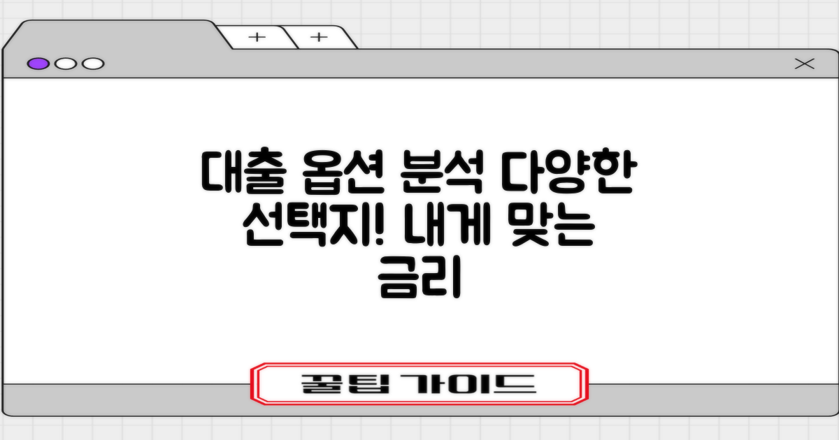 다양한 대출 옵션 분석