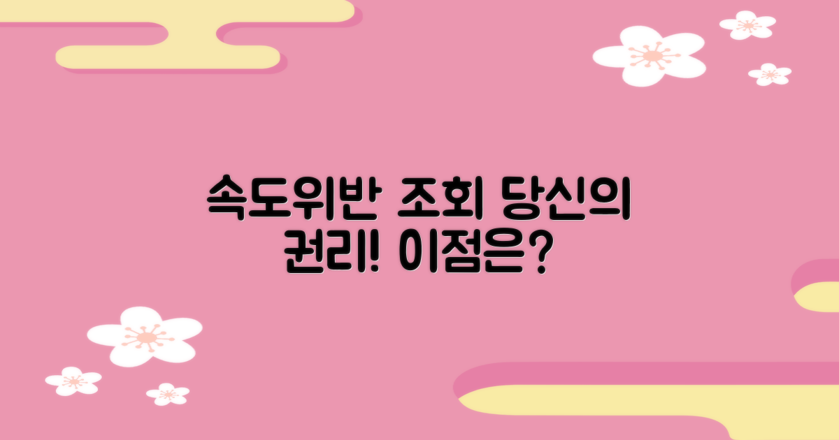 속도위반 조회의 이점은?