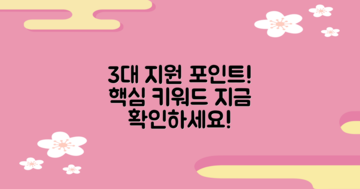 3가지 주요 지원 내용