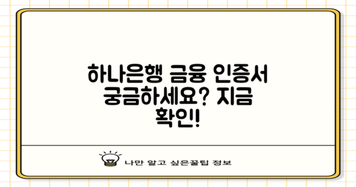 하나은행 금융인증서란?