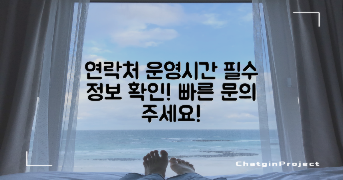 연락처 및 운영시간 정보