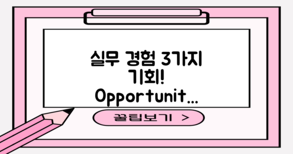 3가지 실무 경험 기회