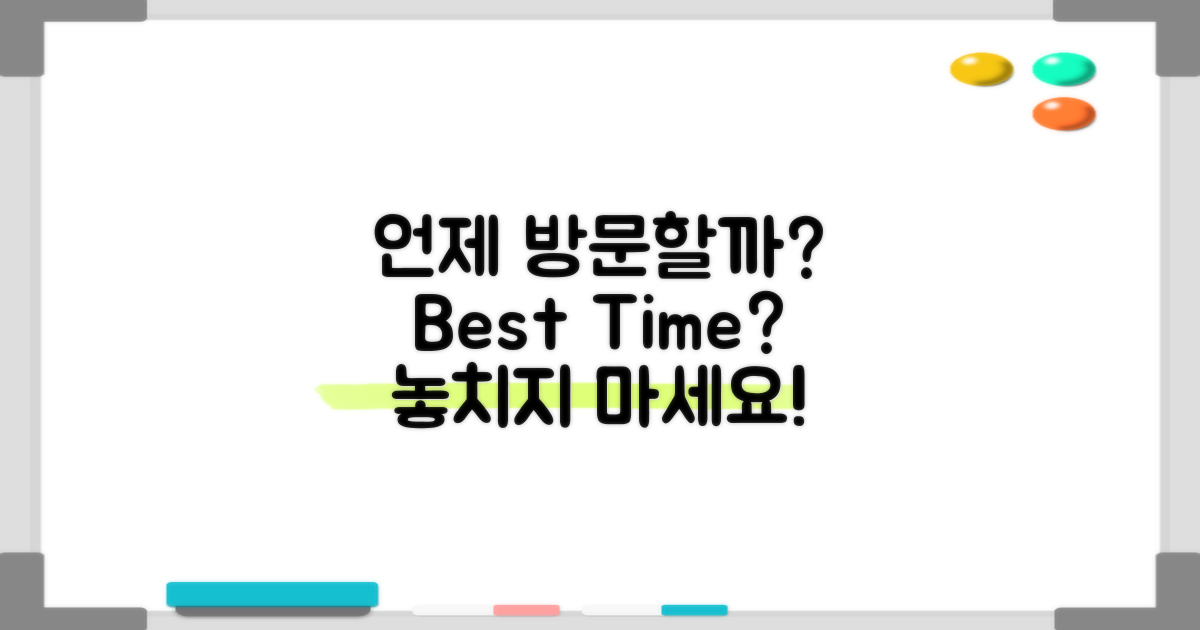 언제 방문해야 할까?