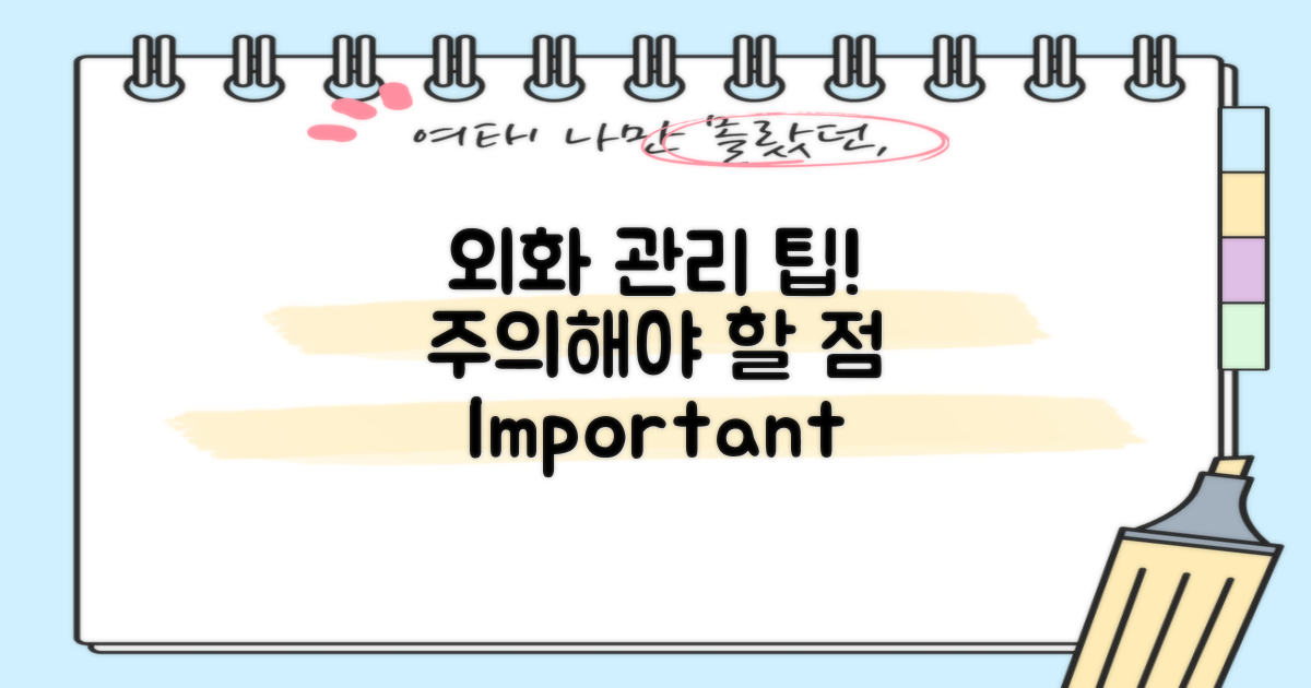 외화 관리 시 유의사항