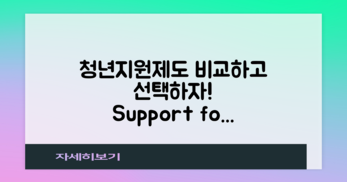 청년 지원제도 비교