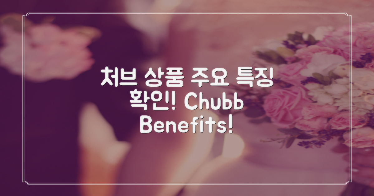 처브 상품 주요 특징